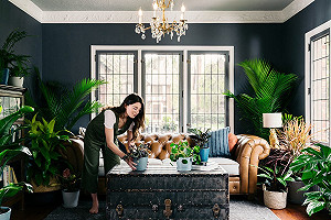 創夢專欄》Bloomscape：這是不養孩子 改養仙人掌與龜背芋的時代(下)