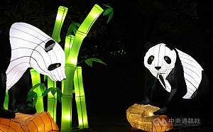 華府動物園燈光秀開幕 濃厚節慶味吸引大批民眾