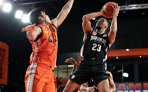 ABL／夢想家今主場首戰澳門黑熊 將現場直播！