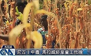菸草業涉剝削勞工與童工  馬拉威面臨國際壓力