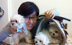 讀者投書》國民黨撿到火箭砲 ? 想太多， 楊蕙如只是生意人