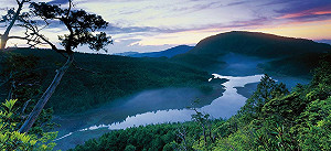 振興不只三倍券！4種加碼補助一圖掌握