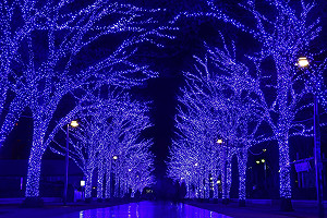 （影）公園變成藍色銀河幻境！日本澀谷燈光隧道璀璨到明年