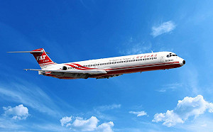 遠航去年引擎空中失效意外 調查結果出爐：渦輪葉片斷裂