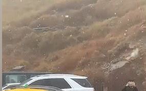 快訊》合歡山入冬第一雪！松雪樓飄雪花現場直擊(影)