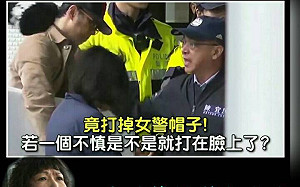 藍委陳宜民動手辱女警！網友「呼叫葉毓蘭」