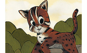 石虎終於能回家 旅美台插畫家用畫作為保育發聲