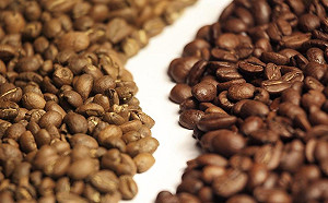 好咖啡一定是100%阿拉比卡豆？精品羅布斯塔咖啡豆翻轉刻板印象