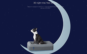 創夢專欄》Casper：愛你的顧客 就能征服下個里程碑(下)