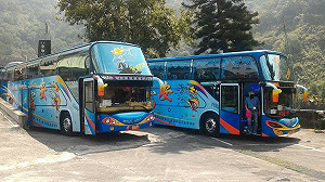 遊覽車業真的賺嗎?知情人曝「暗黑秘辛」:做看看就知道
