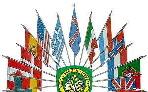 全球布局讓北約國家感到威脅  中國惹上全球最強大軍事同盟