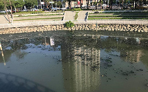 一條愛河各自表述？ 黃光芹PO照質問「愛河不髒嗎？」