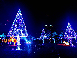 史上展期最長  2020台灣燈會副展區搶先曝光