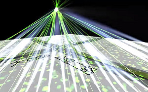 光復高雄貼紙排隊熱！Ｗecare盼1221綠色聖誕樹照耀高雄