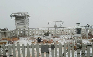 (影)玉山飄雪了！雨水夾雪＋冰霰成銀白世界