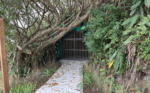 花蓮四八高地戰備坑道  109年元旦起首開放參觀