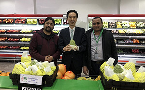 蔡政府聯手出擊  台灣釋迦外銷科威特翻倍