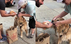 (影)麵包是偶的！男子剛出超市就遭劫　萌萌搶匪超堅定緊咬笑翻網友