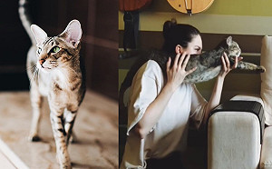 (影)媽扛「終極武器」兜兜兜狂掃射　貓咪眼神死：玩夠沒啦？