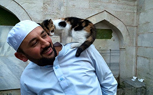 暖男為浪貓敞開清真寺大門　提供庇護並讓牠們「賓至如歸」