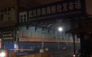 不是7例是27例! 武漢肺炎有「雙肺浸潤」疑病毒性肺炎