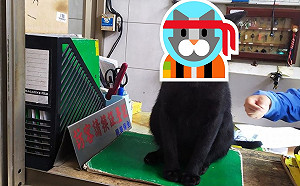 黑貓巴豆夭才值班坐鎮警衛室：入內要先繳罐罐喔！