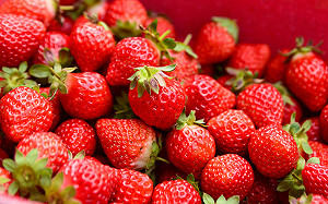 採草莓》果醬DIY、客家山城尋美食！苗栗大湖一日遊這樣玩