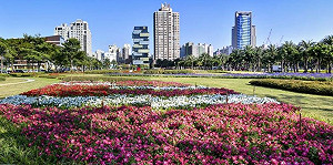 迎新春！高雄凹子底城市花海超好拍