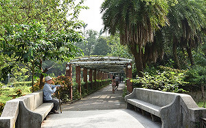 以放大鏡辨識台灣生態珍寶 台北植物園2020導覽活動開跑