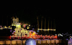 花卉燈飾浪漫意境！彰化溪洲公園1/25變身走春新「亮」點