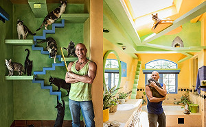 因車禍痛失愛貓！男子決心將整棟房大改造　讓主子天天置身天堂(影)