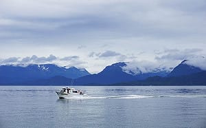 5天大賺百萬薪！「此工作」卻永遠缺人　致命原因曝光