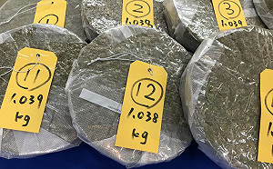 20公斤大麻包裝普洱茶餅　外籍華裔男攜毒落網