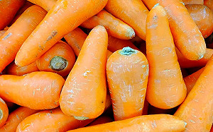 紅白蘿蔔不能一起煮？破除蘿蔔3大謠言讓你安心吃