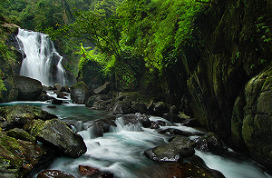 上班前近郊健行收心操!精選北部5條當日來回輕鬆步道