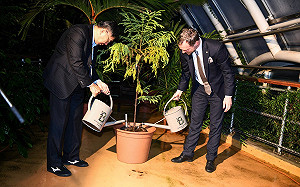 不顧捷克總統反對  布拉格與台北締結姊妹市種下台灣杉