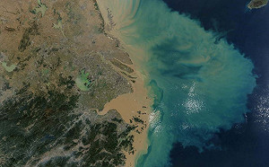 海洋均溫破記錄最高溫　專家：地球滅絕如「溫水煮青蛙」