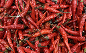 最辣的不是籽！6個關於辣椒的小知識