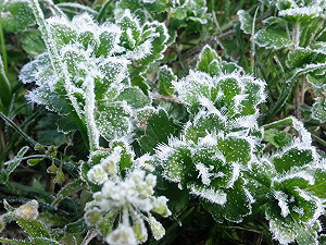 冷氣團續發威北台宜花氣溫回升有限  白天20°C以下