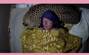 (影)獵豹半夜闖野營「當枕頭」　呼嚕陪睡幫理毛：借擠一下嘿！