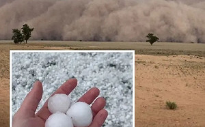 （影）慘！澳洲野火未熄　洪災、沙塵暴、冰雹輪番肆虐