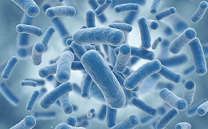 武漢肺炎》最新消息！澳門「淪陷」 確認一旅客染病