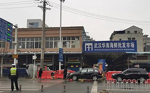 WHO追溯新冠病毒起源  調查團隊專家:中國野生動物農場可能是源頭