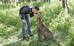 俄羅斯動物園奶人花豹不捨飼育員 樂被收編回家當大貓
