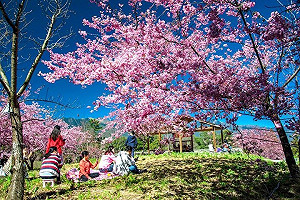 參山國家風景區全面防疫  邀民眾親近大自然  強身增強免疫
