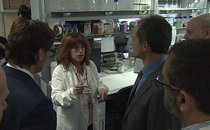 武漢肺炎蔓延全球 西班牙也出現首例確診