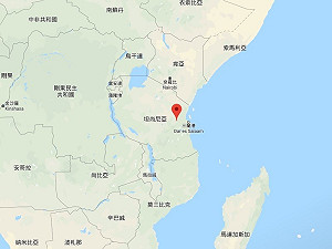 爭先塗抹「福油」 坦尚尼亞教會禮拜踩踏意外 釀20死16傷