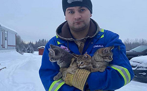 (影)男子上班時發現凍結在雪地上的3隻小貓 用咖啡融冰助脫困