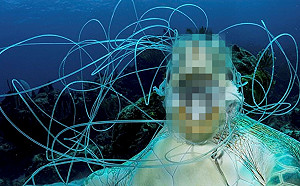 海龜遭纏繞缺氧致死?攝影記者揪心控訴:塑膠垃圾惹的禍!