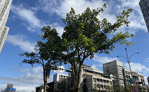 短暫回溫鋒面明又來 濕涼天氣一路到週末